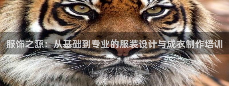 Pg电子游戏作弊