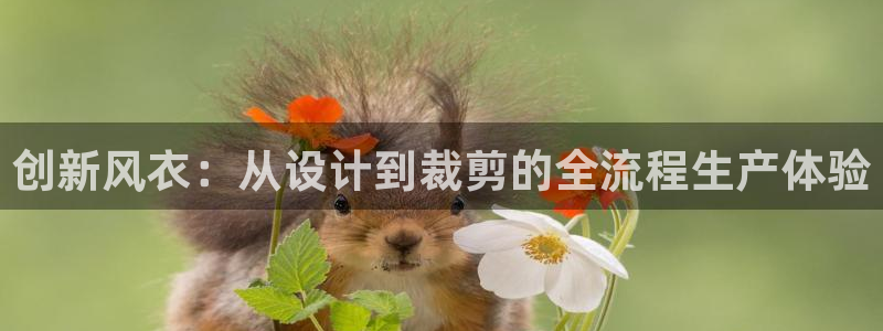 pg电子容易上头