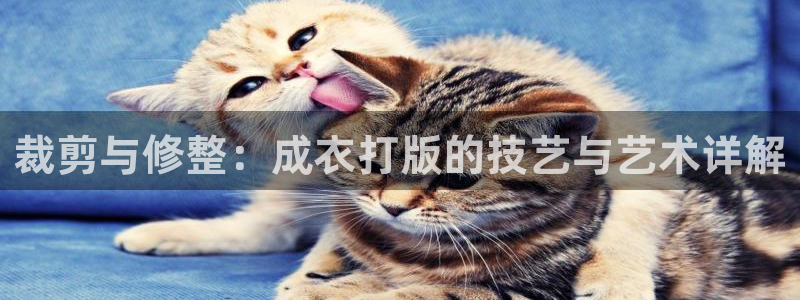 pg电子版有人玩吗