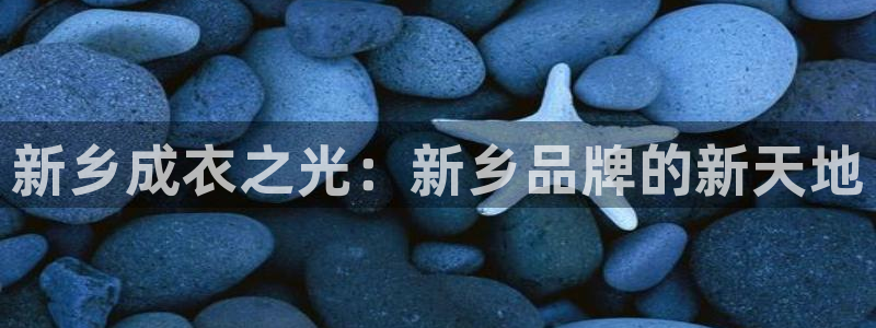 pg电子官方网站多少