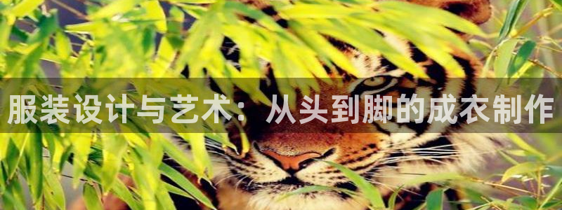 PG电子怎么玩赢钱
