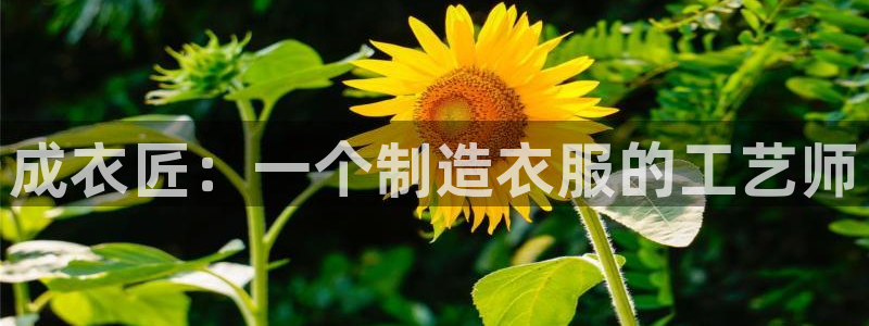 pg电子下载窗口