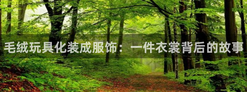 正规pg电子游戏