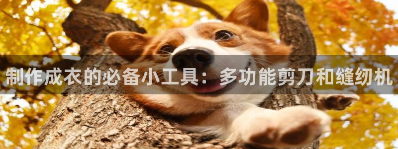 久发pg电子游戏网站