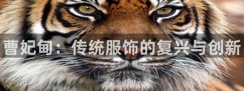 pg电子三只猴子视频