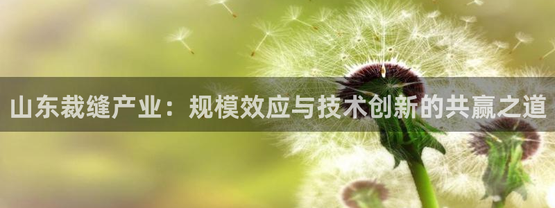 pg电子冰雪大冲关