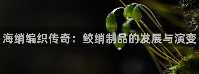 pg电子成就非凡