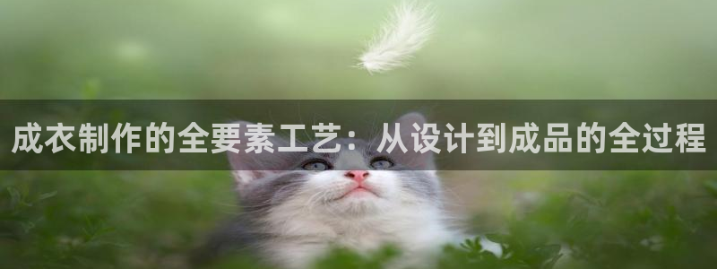 pg电子APP平台下载