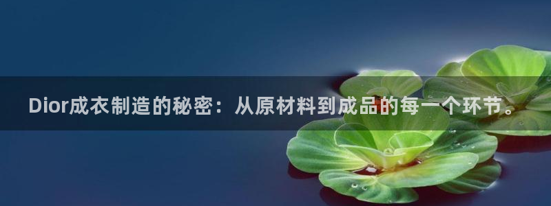 pg电子游戏所有平台