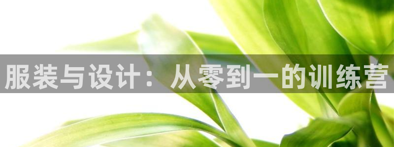 pg电子麻将胡啦