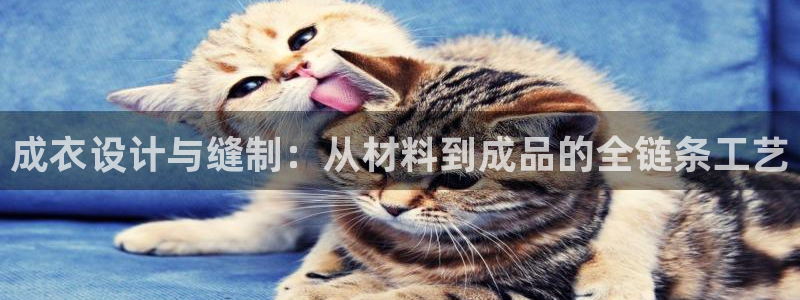 pg电子平台体验版