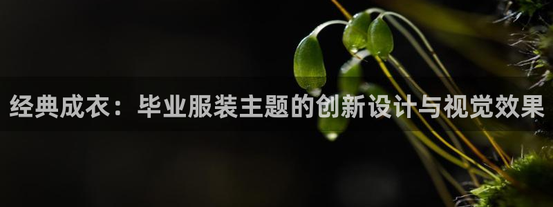 pg掉毛电子说明书