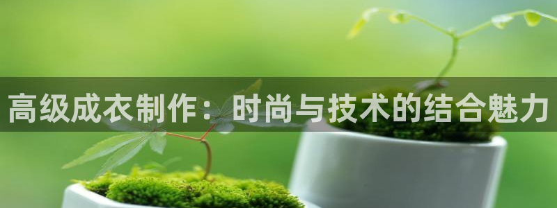 PG电子游戏麻将胡了一直吃分