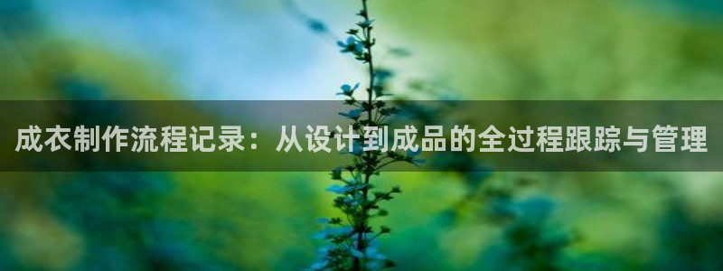 玩pg电子犯法吗