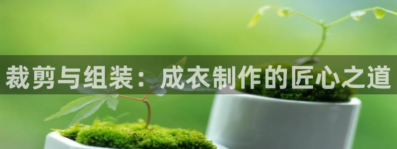 pg电子怎么爆分