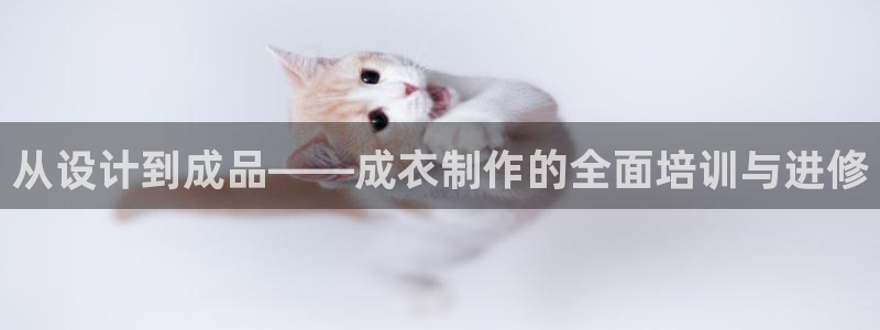 pg电子水果派对