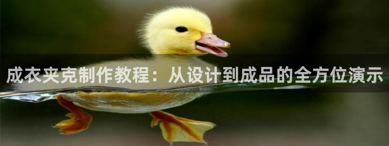 体育娱乐入口pg电子