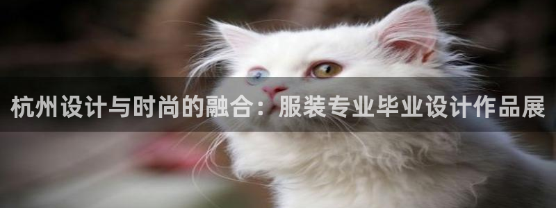 pg电子黄金寻宝城