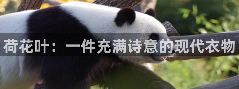 pg电子刚维护好能玩吗