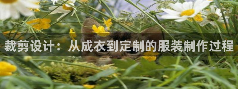 PG电子赏金女王玩法