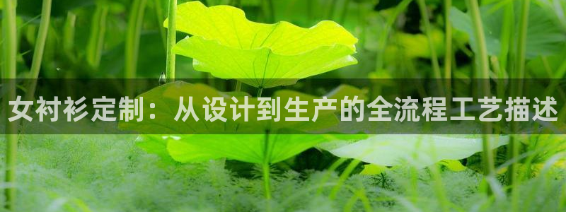 pg电子官网怎么试玩