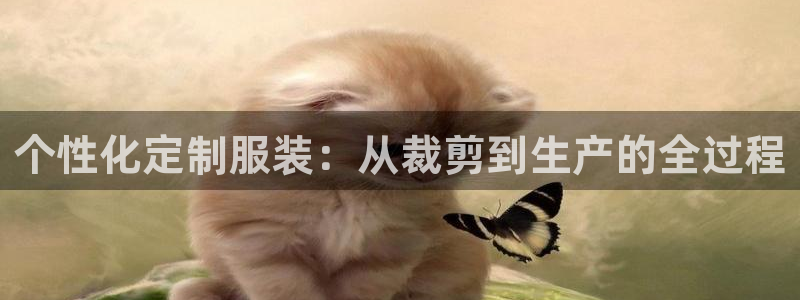 PG电子ly七九典cn