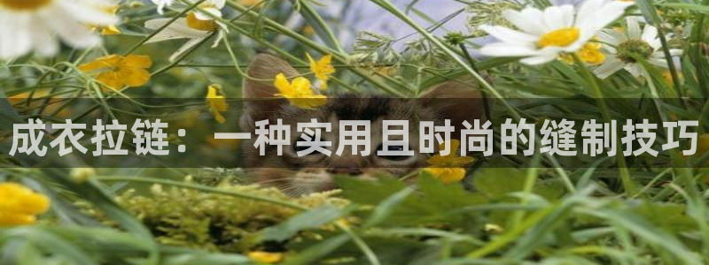 pg电子游戏直播平台