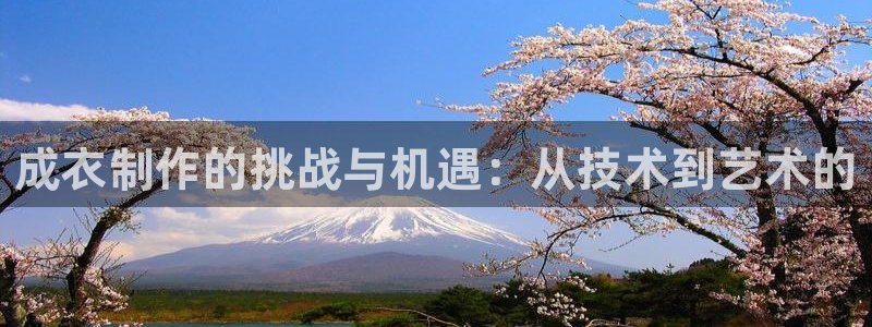 pg电子为什么老是维护