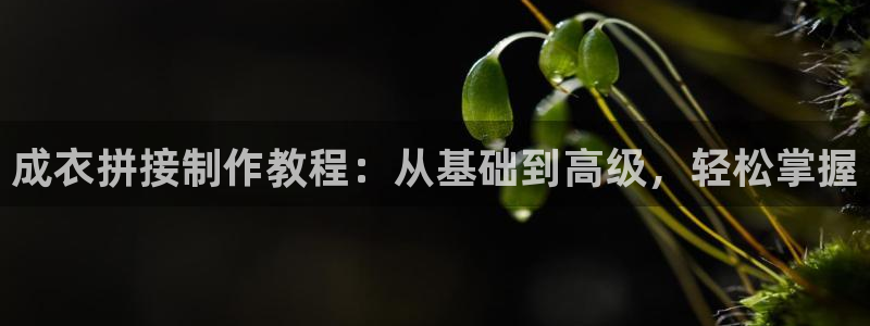 pg电子游戏爆分