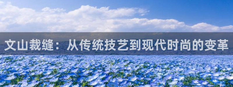 pg电子少林足球选哪个