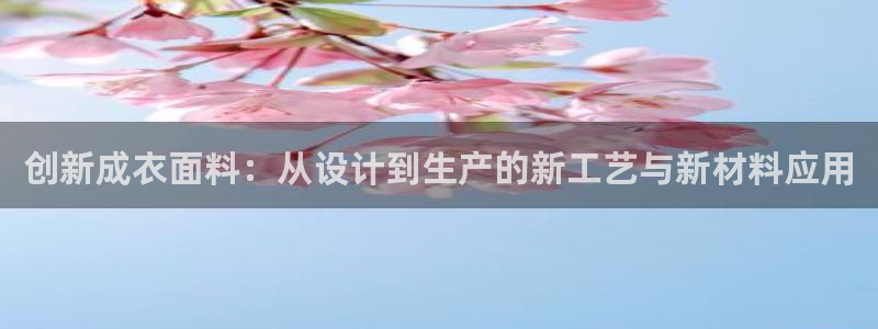 转出至PG电子什么意思