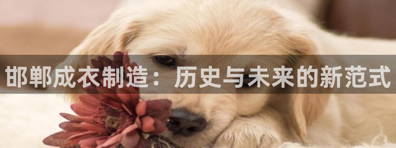 pg电子爆分时间段