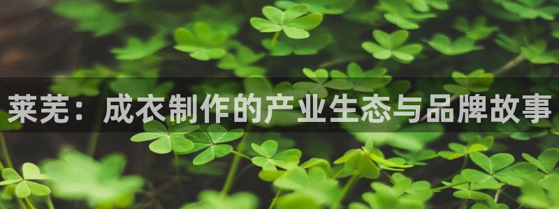 PG电子麻将胡了不爆分