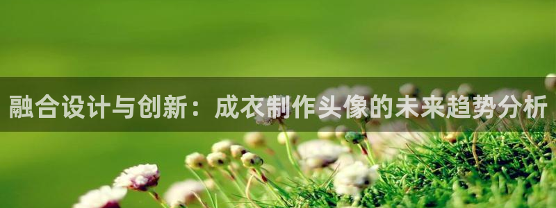 pg电子斗鸡