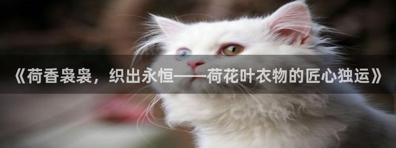 pg电子试玩金