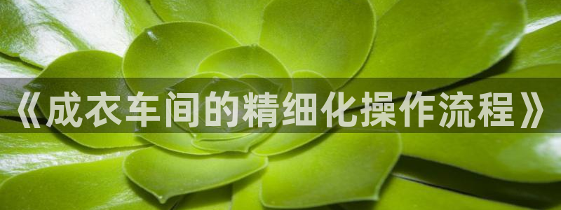 pg电子官网怎么试玩
