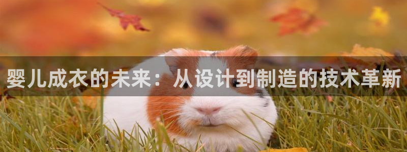 pg电子旺旺旺爆分视频